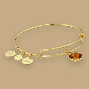 Alex and Ani Topaz November Birthstone Bangle